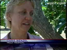 Fruit Grower Told To Stop Selling Because Of Med Flies