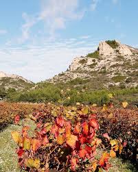 La Montagne Saine Victoire En Automne Couleur Automne Automne Provence