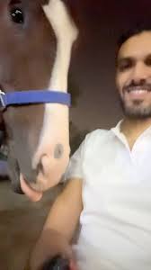 #يارب 🤎🙏🏻