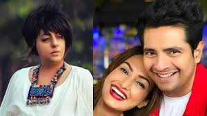 Rohit Verma Recalls How Nisha Rawal Told Karan Mehra To 'Say Sorry and  Finish It Off' But...