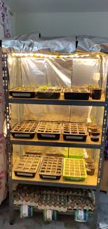 Quick & easy assembly into full fledge grow light fixture. Propagating In My Diy Grow Tent Of Tin Foil And Led Strip Lighting Allotment