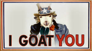 Look a goat :1 year of good luck bestowed upon you. Goat Of Duty Offizieller Deutsch Trailer Raiser Games Youtube