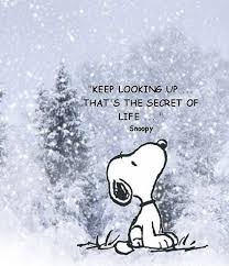 Keep Looking Up That S The Secret Of Life Snoopy Quotes Positive Quotes For Life Positive Quotes