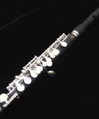 Piccolos synonyms, piccolos pronunciation, piccolos translation, english dictionary definition of piccolos. Piccolos From Pearl Burkart Jupiter Kessler Custom