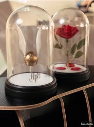 There are 2196 beauty and the beast enchanted rose for sale on etsy, and they cost $43.52 on average. Beauty And The Beast Enchanted Rose Funidelia