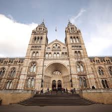 صباح الخير من بي بي سي عربي هنا لندن بالصور لندن بي بي سي عربي the natural history museum pho natural history museum london london pictures landmarks