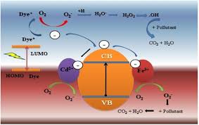 Enhanced Visible Light Photodegradation Activity Of Rhb Mb From Aqueous Solution Using Nanosized Novel Fe Cd Co Modified Zno Scientific Reports