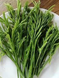 Rebus daun/akar diminum 2.)awet muda,darah tinggi,kolestrol : Cancelo Sayurhutan No Twitter
