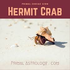 Just like a crab they have a tight hold on what they love and often have trouble letting go. Primal Astrology Spirit Of The Hermit Crab