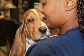 Village Vets Westside • Atlanta • Fresh Chalk