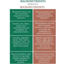 Your body uses carbohydrates to make glucose, which is our main fuel. Icronutrients Are One Of The Major Fitcouplemanishka Facebook
