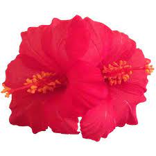 Double Hawaiian Hibiscus Realistic Flower Hair Clip 7 99 Liked On Polyvore Featur Flower Hair Accessories Hawaiian Flower Hair Organizing Hair Accessories