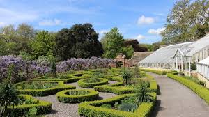 A new children's book, entitled the palace cat inspired by edmund, the palace's resident black cat is to be published. Fulham Palace Film London