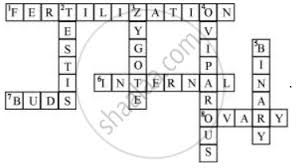 Check spelling or type a new query. Complete The Crossword Puzzle Using The Hints Given Below The Process Of The Fusion Of The Gametes The Type Of Fertilization In Hen Sperms Are Produced In These Male Reproductive Organs Science