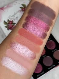 Image result for Raspberry 1994 Shadow