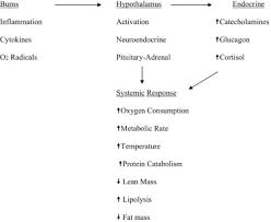 Oct 25, 2014 · burn injuries are one of the most common and devastating afflictions on the human body. Nutritional Therapy For Burns In Children And Adults Sciencedirect
