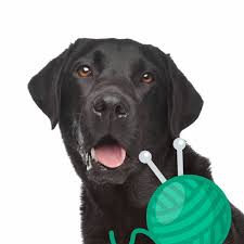 Our favorite tv and movie characters are great for a lot of things. Dog Names Inspired By Tv Shows Popular Male And Female Names Wag