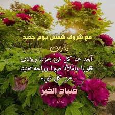 القلب الأبيض هو من يتمنى الخير للجميع دون إستثناء فسعادة الآخرين لن تؤخذ من سعادتك good morning images jumma mubarak beautiful images good morning gif