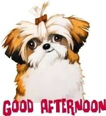 Good Afternoon Graphics And Animated Gifs Good Afternoon Dog Art Dog Caricature Dog Paintings