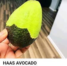 Image result for Dark Avocado 1977 Fedders