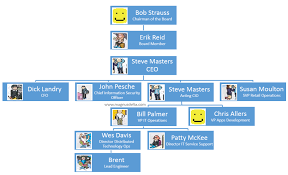 the phoenix project summary and org chart magnus delta