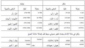 اللغة الپرتغالية المعرفة