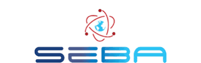 In authorized version incorrectly rendered sabeans) heads the list of the sons of cush. Seba Open Networking Foundation