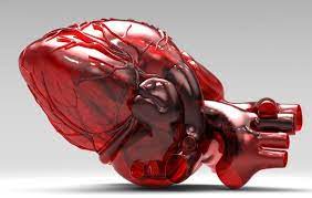 Red Biotechnology Bio Pharmaceutical Is A Process That Utilizes Organisms To Improve Health Care And Help 3d Printed Heart 3d Printing Technology 3d Printing