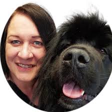 Hundesalon Vielfelltig