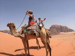 Because camels are domesticated, not wild, you could argue that riding a. Camel Ride With A Friend And Friendly Camels Picture Of Jordan Tracks Bedouin Camp Excursions Wadi Rum Tripadvisor