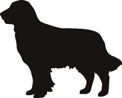 Golden Retriever Stencil Golden Retriever Stencils Dog Stencil Dog Stencils Dog Stencil Golden Retriever Silhouette Dog Silhouette