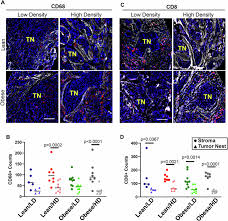 Image result for Primary Tumor Localization