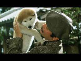 The original film told the true story of the akita dog named hachikō who lived. Hachiko A Dog S Tale Goodbye Hachiko Monogatari Youtube