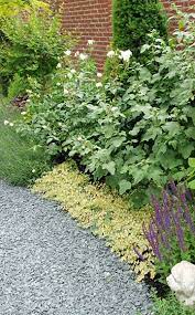 welkom rob verlinden exclusieve tuinen b v tuin tuin ideeen moderne tuin