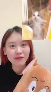 Paper Craft Happy Cat