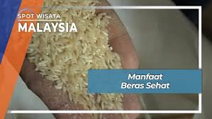 Beras kencur dapat dikonsumsi untuk meningkatkan vitalitas dan juga stamina. Beras Sehat Ramah Diabetes Malaysia