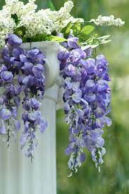 Pin By Senda Negra On Wisteria In Bloom Beautiful Flowers Spring Blooms Orchids