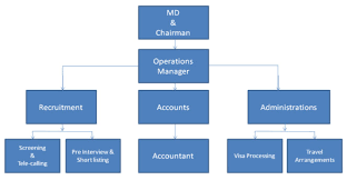 Capital Recruitment Service P Ltd Organization Chart