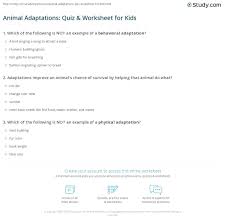 Animal Adaptations Quiz Worksheet For Kids Study Com
