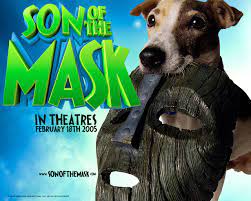 maske filminde izleyiciyle bulusan kopegin cinsi jack russell dog kopek animal jack russell kopek maskeler iman