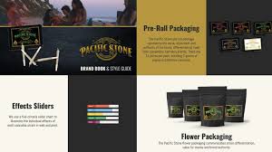 Shop all pacific stone products near you, buy online and get quick delivery from greenrush. Pacific Stone Oniracom