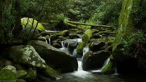 Deep forest bohemian ballet (boheme 1996). Deep In The Forest Lies A Waterfall Photograph By Glenn Lawrence