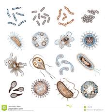 Un virus informático o gusano informático es un programa de software malicioso que puede replicarse a sí mismo en ordenadores o a través de redes de ordenadores sin que te des cuenta de que el equipo está infectado. Bacteria And Virus Cells Illustration 44332248 Megapixl