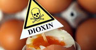 1 25 three women in vienna, austria, were poisoned with large doses of tcdd in 1998. Efsa Dioxins In Food More Harmful Than Thought Sada El Balad