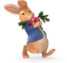 Peter Rabbit Peter Rabbit Club Peter Rabbit And Friends Peter Rabbit Peter Rabbit Party