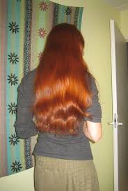 Show Me Your Hennaed Hair Page 346 Long Hair Community Very Long Hair Hair