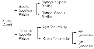 Etut Dersi Ygs Lys Sbs Dgs Kpss Tr Gg