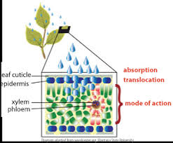 factors affecting herbicide performance techline invasive