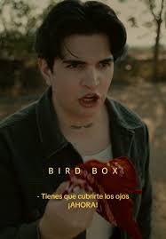 Rosa Bird Box