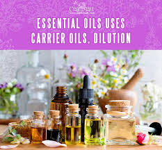 a list of essential oils uses oil dilution chart essential